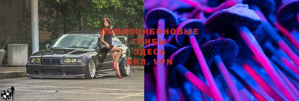герыч Белокуриха