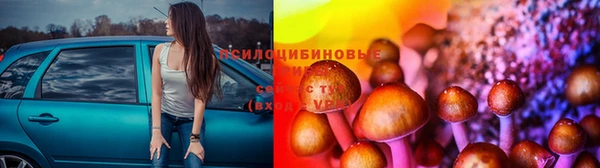 крисы Беломорск