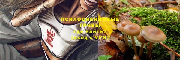 первитин Богородск