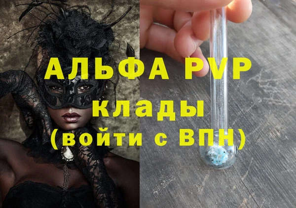 гашик Богданович