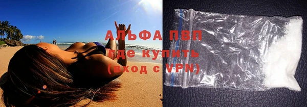 гашик Богданович