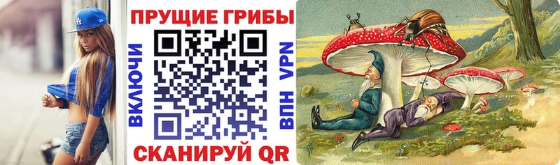 Псилоцибиновые грибы Cubensis  МЕГА как войти  Котовск 