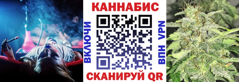 Бошки Шишки планчик Котовск